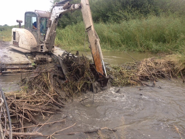 marsh cleanup with excavator
